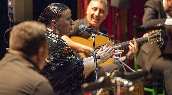 Una historia de flamenco