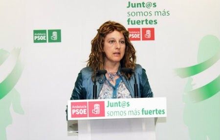 El PSOE señala que el Plan de la Junta contra la exclusión social viene a dar respuesta a unas 50.000 familias en riesgo
