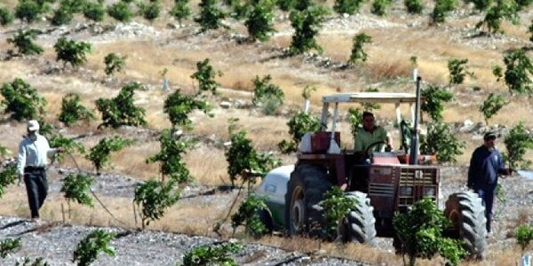 El PSOE anuncia que este viernes comenzarán las obras del trasvase del Condado, que 'crearán 700 empleos'