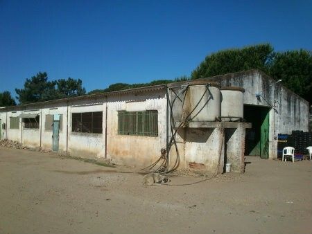 La Guardia Civil imputa a dos personas después de inspeccionar una finca agrícola en La Redondela