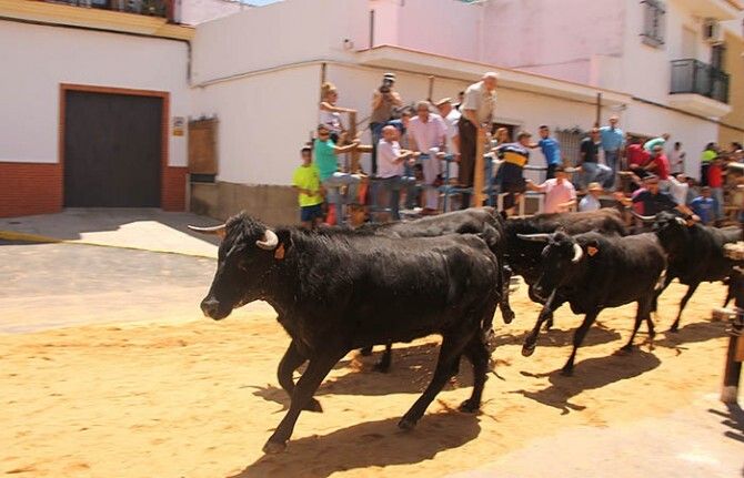 Emoción y buen ambiente en la primera tarde sanjuanera de capeas