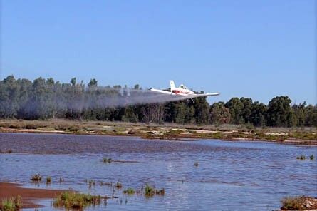 Comienza el tratamiento larvicida aéreo de refuerzo en 450 hectáreas de marisma mareal de difícil acceso