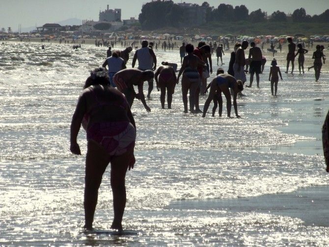 La Junta, contra los 'coquineros' furtivos