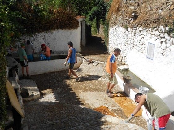 Discapacitados intelectuales participan en un campo de trabajo de Linares de la Sierra