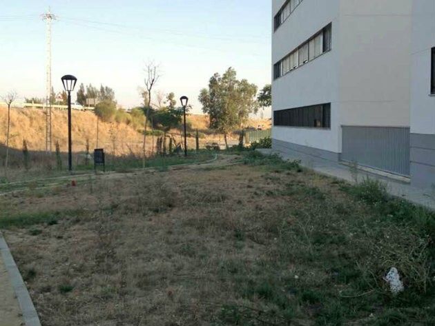 El PSOE de Gibraleón denuncia 'la presencia de ratas' en el entorno de 24 VPO construidas por el Ayuntamiento