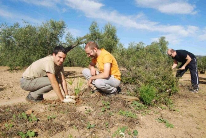 Reforestación participativa en el entorno natura de Los Almendrillos