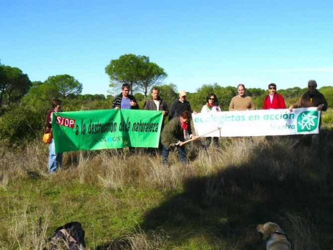Ecologistas en Acción siembra bellotas donde se ubicará el centro de drones