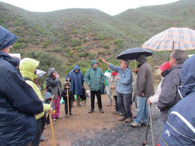 Ecologistas protagonizan una plantación simbólica en una finca pública de Berrocal