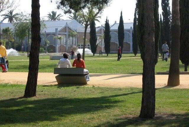 Detenidos seis hombres por un presunto delito de prostitución de menores en el parque de Zafra