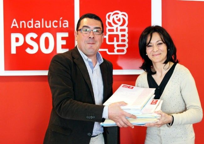 Los socialistas de Huelva esperan que el TC frene la implantación progresiva de la reforma local del PP