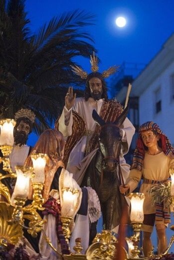 Platero y Jesús, radiantes por un sendero de palmas