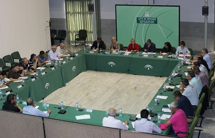 Junta y sector del Golfo de Cádiz rechazan el límite de pesca de sardina que plantea el Gobierno al amenazar la viabilidad de la flota