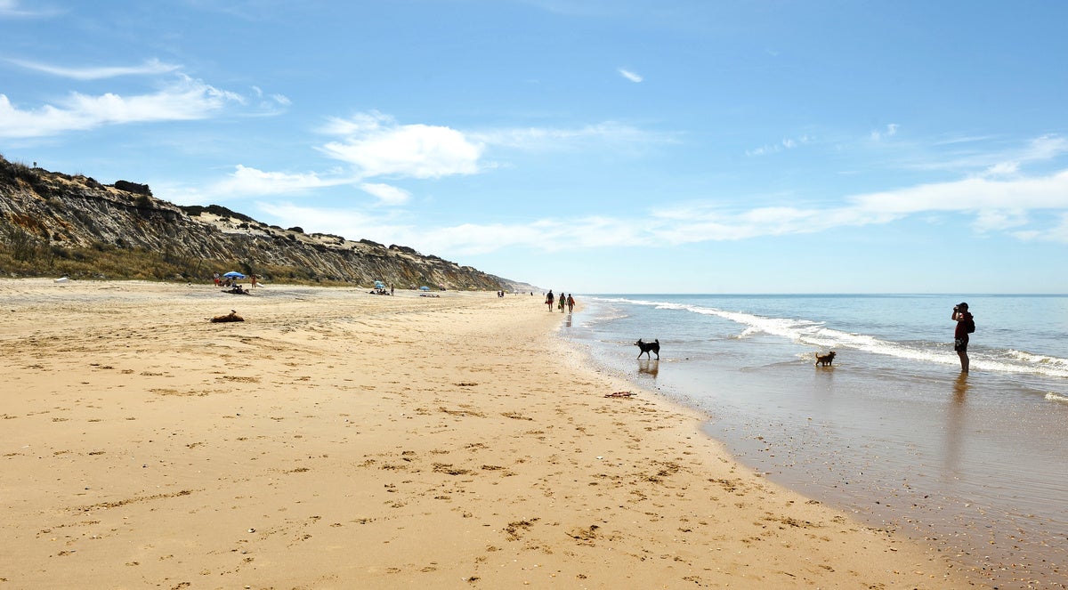 Las mejores playas de Huelva a las que puedes ir con tu perro