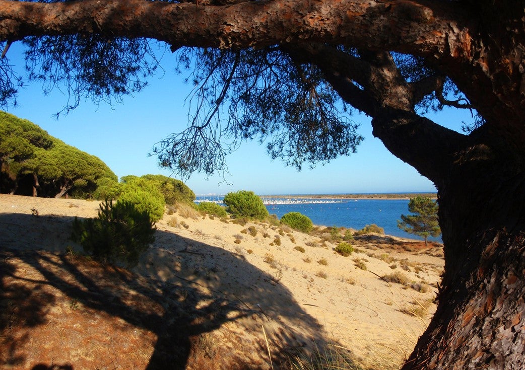 Playa de San Miguel