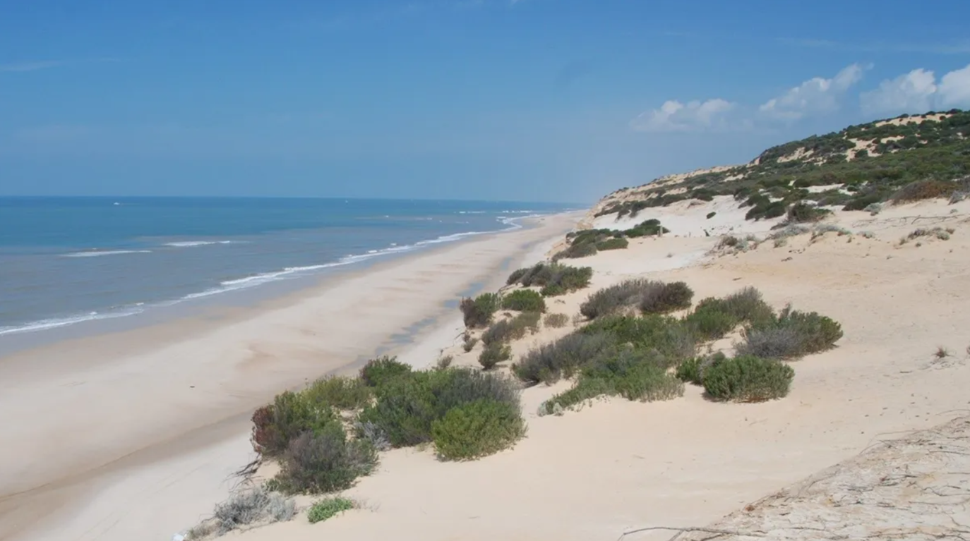 Playa de Doñana