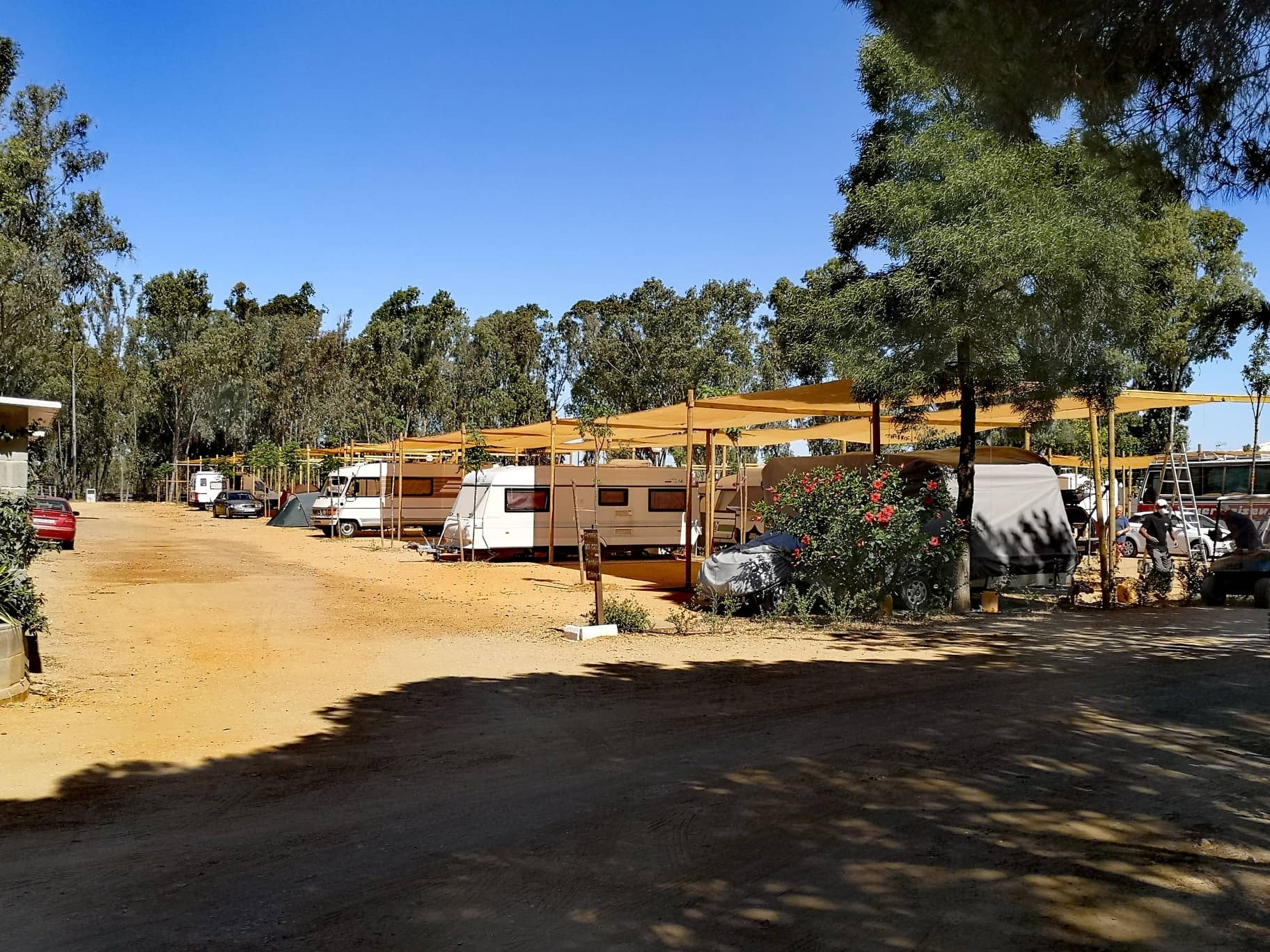 Parcelas para campers y autocaravanas en el Camping Playa Taray, en Isla Cristina