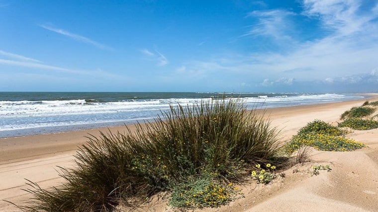 Imagen de la Playa de la Bota