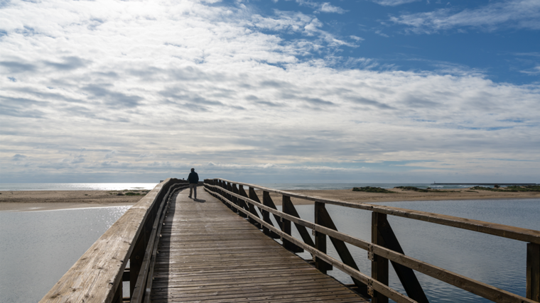 Playa de la Gaviota