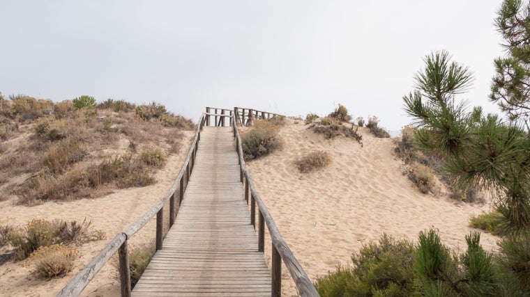 Camino hacia la playa de los Enebrales