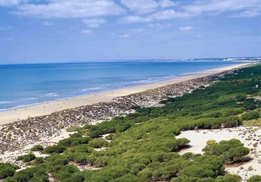 La playa secreta de Huelva que se encuentra dentro de un paraíso natural: está rodeada de pinos y tiene aguas cristalinas
