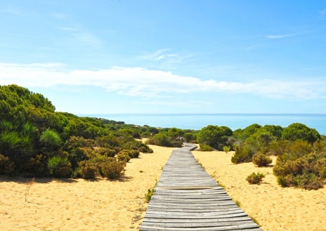Imagen secundaria 1 - Playa de Cuesta Maneli