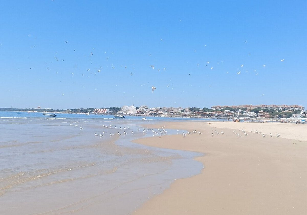 Vista panorámica desde la orilla de la playa de El Portil