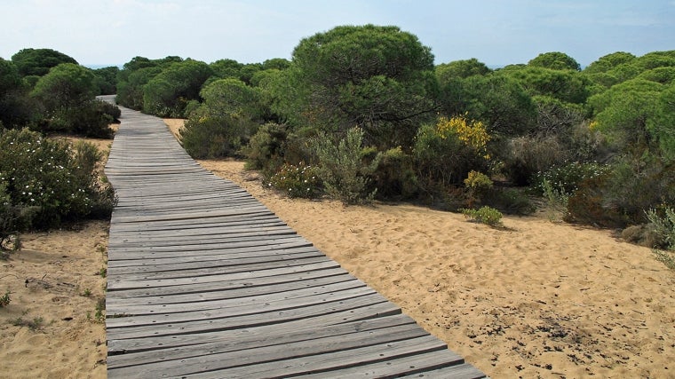 Pasarela de acceso a la playa de Cuesta Maneli