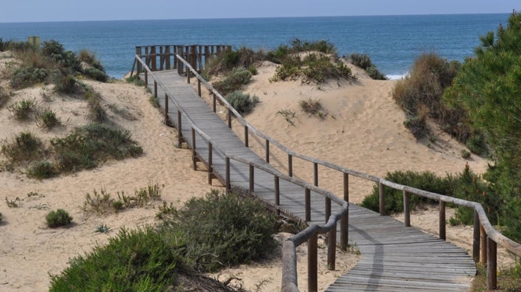 Pasarela de acceso a la playa de Los Enebrales
