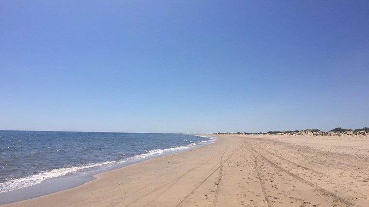 Playa de Nueva Umbría