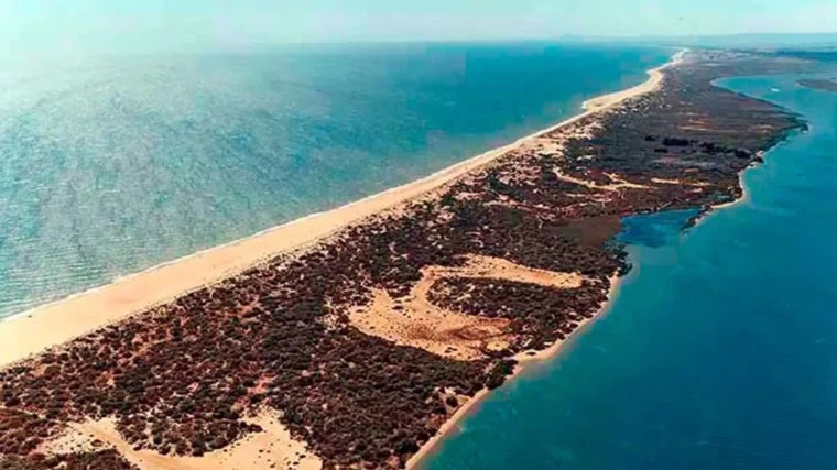 Cinco playas naturales e interminables de Huelva que tienes que visitar: paraísos rodeados de dunas y pinares