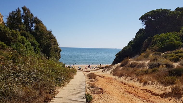 Cinco playas naturales e interminables de Huelva que tienes que visitar: paraísos rodeados de dunas y pinares