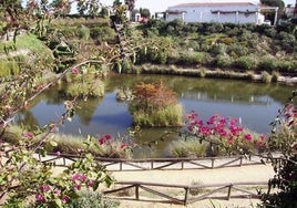 El Parque José Celestino Mutis, un oasis natural vínculo entre España y América