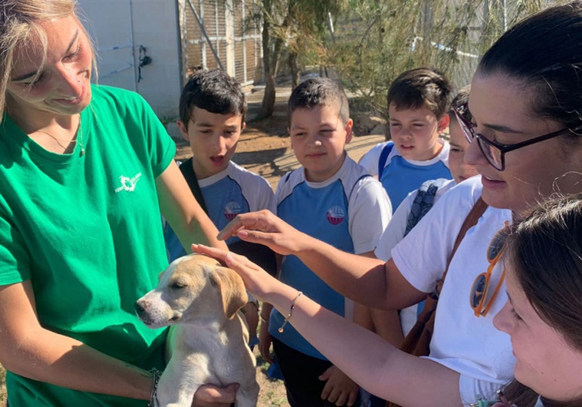 Escolares en su visita el Centro de Protección Animal