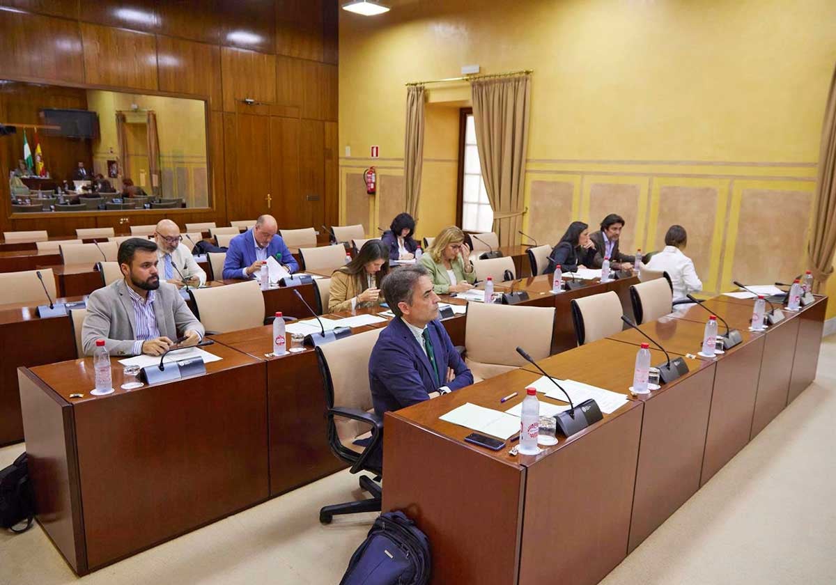 Ccomisión de Fomento, Articulación del Territorio y Vivienda del Parlamento andaluz