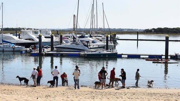 Playa canina en la ría de Punta Umbría