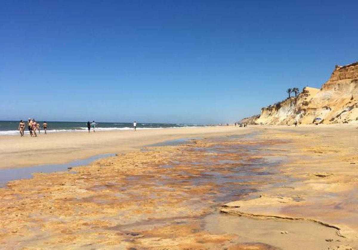 Zona del yacimiento de huellas fosilizadas en la playa de Matalascañas