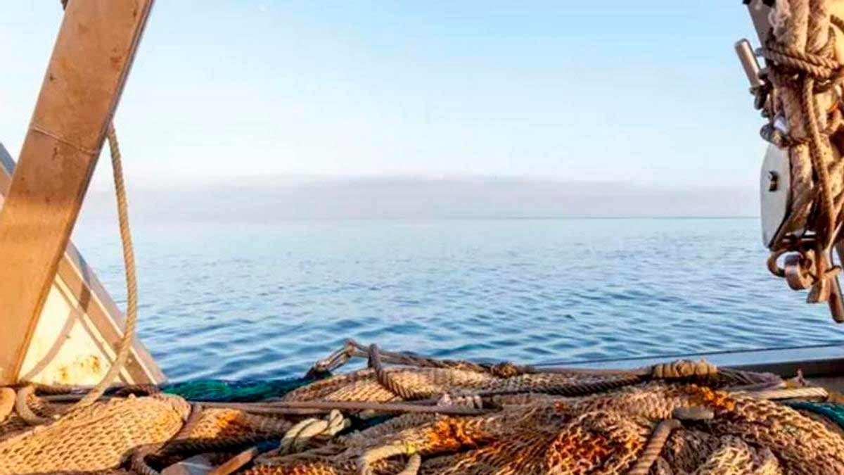 Aparejos en un barco pesquero