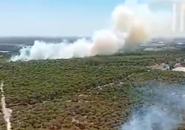 Bonares sigue la pista a los pirómanos: Hay «indicios» de que cuatro de los ocho incendios de fueron «provocados»