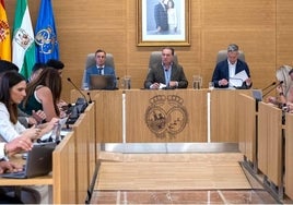 El Pleno de Diputación aprueba por unanimidad aumentar el precio del contrato del Servicio de Ayuda a Domicilio
