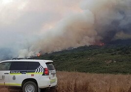 Imputan a un almonteño siete incendios forestales intencionados que sufrió la localidad en julio