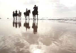 Paseos a caballo por la playa de Matalascañas