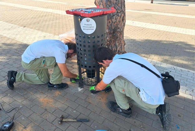Otro dispensador colocado en la vía pública