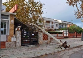 Punta Umbría valora en 365.000 € los daños por la borrasca y pedirá declaración de zona catastrófica, como Lepe