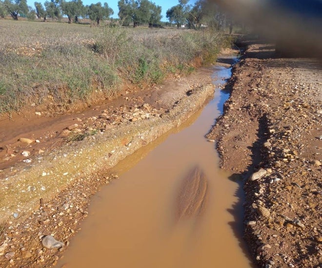 Los campos de Trigueros ya no filtran más agua