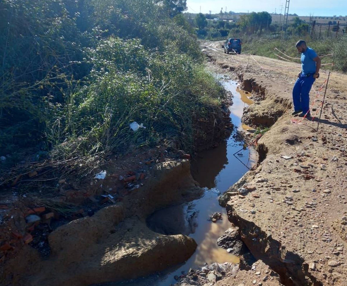 Estado en el que han quedado algunos de los caminos a su paso por Trigueros debido al temporal