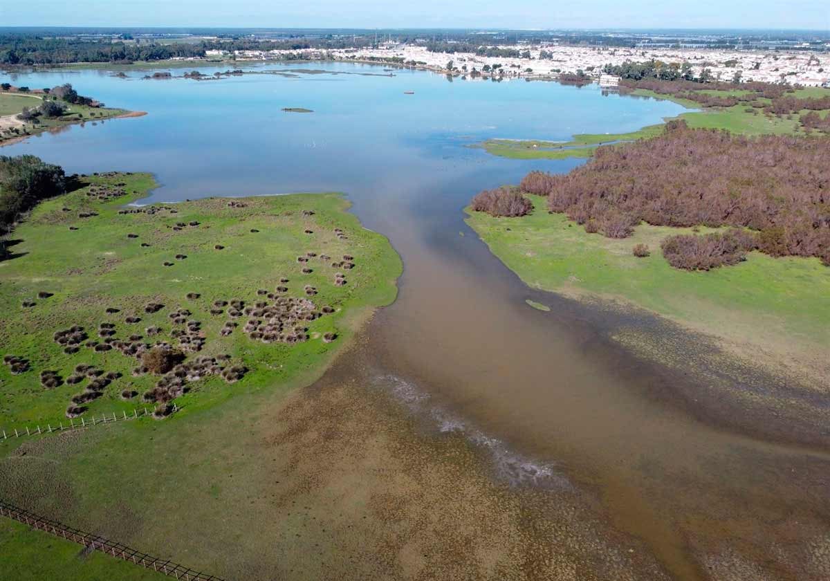 Imagen actual de la marisma de Doñana