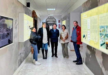 El Museo Minero de Riotinto renueva cuatro de sus salas y tres espacios expositivos