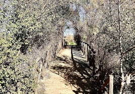 El tiempo en Huelva: El año nuevo viene sin lluvias y con ligero ascenso térmico
