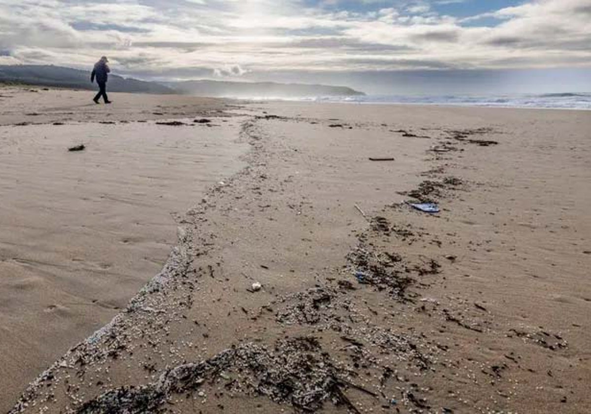 Pélets como los aparecidos en muchas zonas del litoral peninsular