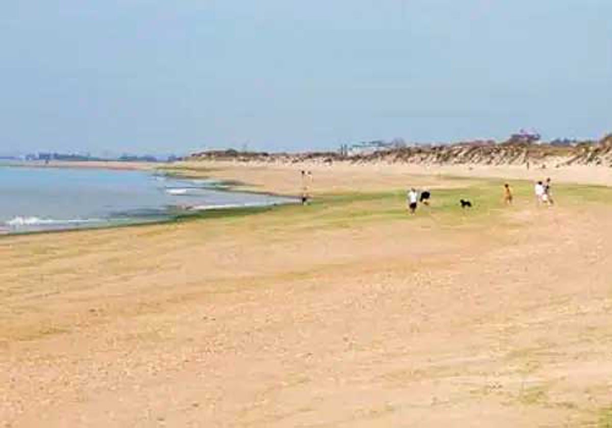 Una playa de la costa onubense